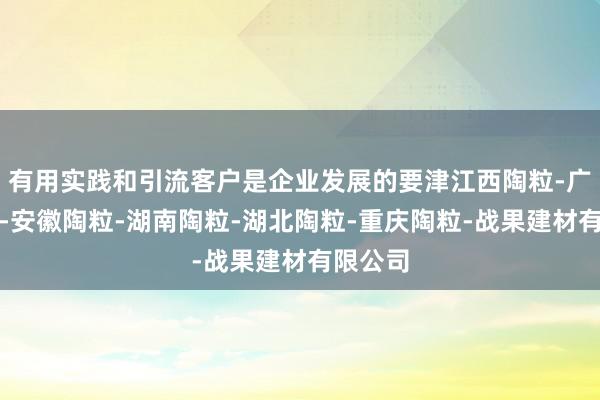 有用实践和引流客户是企业发展的要津江西陶粒-广东陶粒-安徽陶粒-湖南陶粒-湖北陶粒-重庆陶粒-战果建材有限公司